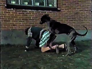 Dog bestiality video
