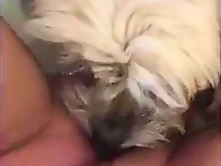 Homemade beastiality licking