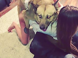 Bestiality sex teen