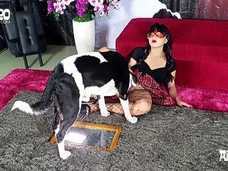 Asian animal porn uncensored