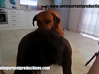 Beastiality porn ebony